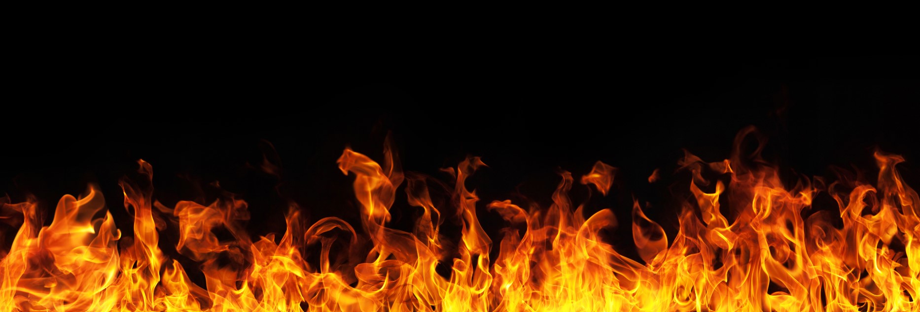 Infrared Heater Picture with built-in Thermostat "CARNATION RANGE"  - Glass 500W